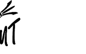 2ème Tournoi des volants de la Manse (Sainte Maure de Touraine)