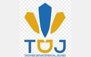TDJ 6